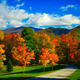 Image for article titled 76 Stunning Photos Of Fall Leaves